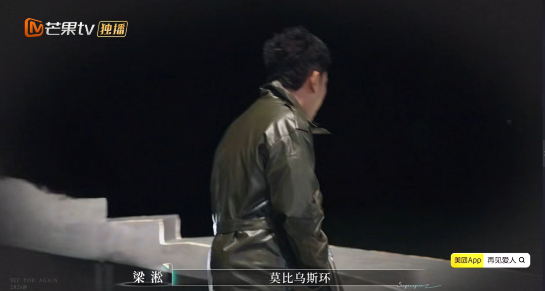 《再见爱人5》落幕：为何我们在“痛苦的关系”中循环？