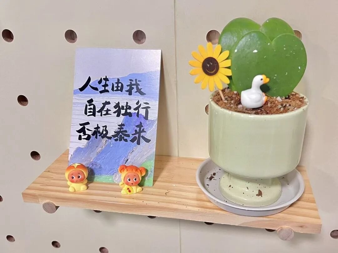 我们来了！红树林心理青少年活动中心正式开放